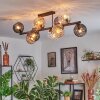 Koyoto ceiling light, globe light Amber, clear, Smoke-coloured, 10-light sources