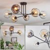 Ripoll ceiling light, globe light Amber, clear, Smoke-coloured, 6-light sources