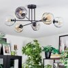 Ripoll ceiling light, globe light Amber, clear, Smoke-coloured, 6-light sources