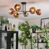 Ripoll ceiling light, globe light chrome, gold, clear, coppery, Smoke-coloured, 6-light sources