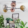 Ripoll ceiling light, globe light gold, clear, coppery, Smoke-coloured, 6-light sources