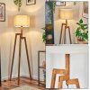 Soungou floor lamp Ecru, black, 1-light source