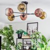 Ripoll ceiling light, globe light gold, clear, coppery, 6-light sources