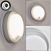Jelad outdoor wall light, wall light LED silver, 1-light source, Motion sensor