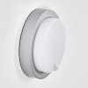 Jelad outdoor wall light, wall light LED silver, 1-light source, Motion sensor