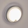 Jelad outdoor wall light, wall light LED silver, 1-light source, Motion sensor