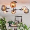 Ripoll ceiling light, globe light Amber, clear, Smoke-coloured, 6-light sources