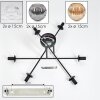 Ripoll ceiling light, globe light Amber, clear, Smoke-coloured, 6-light sources