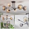 Ripoll ceiling light, globe light Amber, clear, Smoke-coloured, 6-light sources