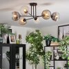 Ripoll ceiling light, globe light Amber, clear, Smoke-coloured, 6-light sources
