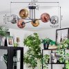 Ripoll ceiling light, globe light chrome, gold, coppery, Smoke-coloured, 6-light sources
