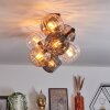 Koyoto ceiling light, globe light Amber, clear, Smoke-coloured, 8-light sources