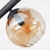 Koyoto ceiling light, globe light Amber, clear, Smoke-coloured, 8-light sources