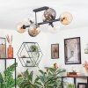 Koyoto ceiling light, globe light Amber, clear, Smoke-coloured, 8-light sources
