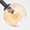 Koyoto ceiling light, globe light Amber, clear, Smoke-coloured, 8-light sources