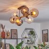 Koyoto ceiling light, globe light Amber, clear, Smoke-coloured, 8-light sources