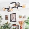 Koyoto ceiling light, globe light Amber, clear, Smoke-coloured, 8-light sources