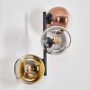 Koyoto globe light, wall light gold, clear, coppery, Smoke-coloured, 3-light sources