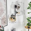 Ripoll globe light, wall light Amber, clear, Smoke-coloured, 3-light sources