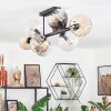 Koyoto ceiling light, globe light Amber, clear, Smoke-coloured, 8-light sources