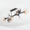 Koyoto ceiling light, globe light Amber, clear, Smoke-coloured, 8-light sources