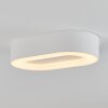 PALEROO outdoor ceiling light LED white, 1-light source