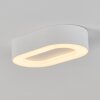 PALEROO outdoor ceiling light LED white, 1-light source