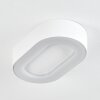 PALEROO outdoor ceiling light LED white, 1-light source