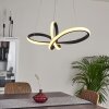 Ignal Pendant Light LED black, 1-light source