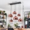Gastor hanging light, globe light, pendant light clear, coppery, 6-light sources