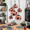 Gastor hanging light, globe light, pendant light clear, coppery, 6-light sources