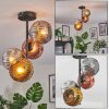 Ripoll ceiling light, globe light gold, coppery, Smoke-coloured, 4-light sources