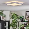 Xarel ceiling light, Panel LED white, 1-light source