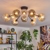 Ripoll ceiling light, globe light Amber, clear, Smoke-coloured, 10-light sources