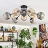 Ripoll ceiling light, globe light Amber, clear, Smoke-coloured, 10-light sources