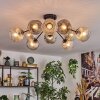 Ripoll ceiling light, globe light Amber, clear, Smoke-coloured, 10-light sources
