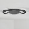 Gelan ceiling light, Panel, wall light LED black, white, 1-light source