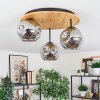 Ripoll ceiling light, globe light Ecru, black, 3-light sources