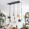 Koyoto hanging light, globe light, pendant light Amber, chrome, clear, Smoke-coloured, 6-light sources
