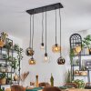 Koyoto hanging light, globe light, pendant light Amber, chrome, clear, Smoke-coloured, 6-light sources