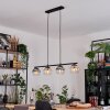 Koyoto hanging light, globe light, pendant light Amber, clear, Smoke-coloured, 4-light sources