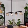 Koyoto hanging light, globe light, pendant light Amber, clear, Smoke-coloured, 4-light sources