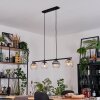 Koyoto hanging light, globe light, pendant light Amber, clear, Smoke-coloured, 4-light sources