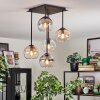 Koyoto ceiling light, globe light Amber, clear, Smoke-coloured, 5-light sources