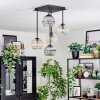 Koyoto ceiling light, globe light Amber, clear, Smoke-coloured, 5-light sources