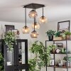Koyoto ceiling light, globe light Amber, clear, Smoke-coloured, 5-light sources