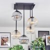 Koyoto ceiling light, globe light Amber, clear, Smoke-coloured, 5-light sources