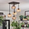 Koyoto ceiling light, globe light Amber, clear, Smoke-coloured, 5-light sources