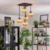 Koyoto ceiling light, globe light Amber, 5-light sources