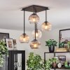 Koyoto ceiling light, globe light Amber, clear, Smoke-coloured, 5-light sources